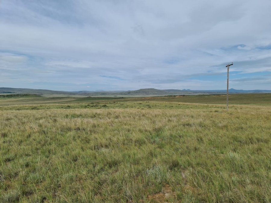 4 Bedroom Property for Sale in Jamestown Eastern Cape